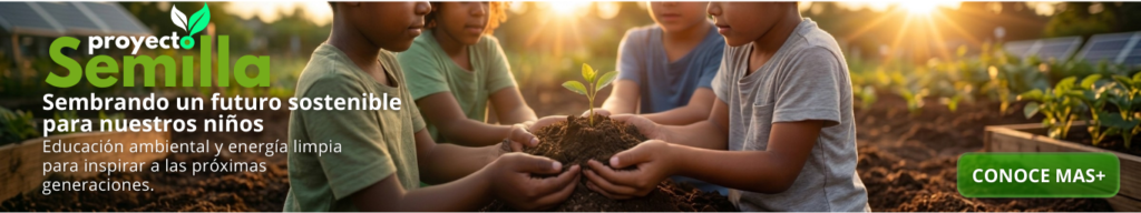 litle proyecto semilla